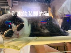 -东兴顺爆肚张
