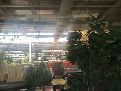 -红栌温泉山庄生态美食餐厅