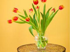 -镜泊小镇(东长安街店)