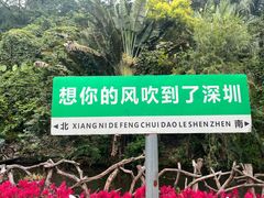 -青青世界