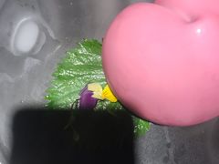-韵秋荷(宝山龙湖天街店)