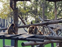 -北京野生动物园