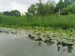 -芸海阁·农家私房菜(沙家浜景区出口店)