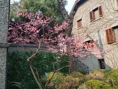 -思南公馆