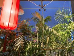 -壹盏灯(惠农店)