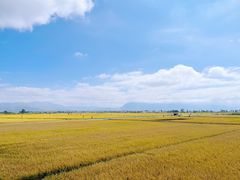-喜林苑·稻田餐厅(品相府店)