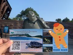 -广东惠东海龟国家级自然保护区