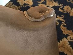 -上海棕榈滩海景酒店