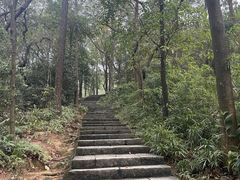-火炉山森林公园