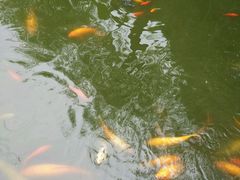 -陈云纪念馆