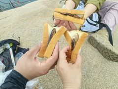 -北京凤凰岭