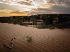 -亿利库布其七星湖沙漠生态旅游区