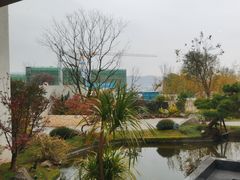 -雅苑中餐厅