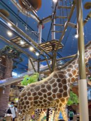 -卡通尼·Safari非洲探索乐园·生日会(金桥国际商业广场店)
