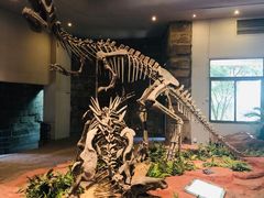 -自贡恐龙博物馆