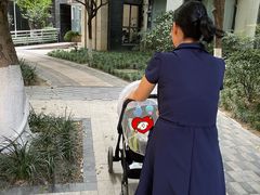 -田螺阿姨自营月嫂·育儿嫂(高新店)