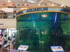 -尚泰清迈机场购物中心