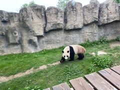 -上海野生动物园