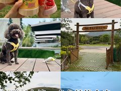 -龙坞茶村