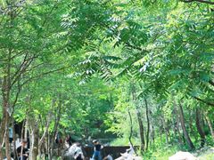 -玉渡山自然风景区