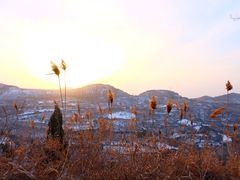 -函谷关历史文化旅游区