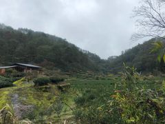 -武夷山风景名胜区-虎啸岩