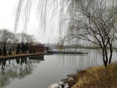 -大兴滨河森林公园