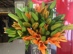 -天津津利华酒店