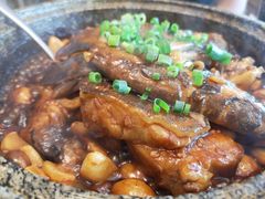 -海派美食·家宴海鲜青岛菜·石锅鲽鱼头(东方城店)
