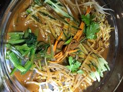 大拉皮-黑土印象菜馆(三元桥店)