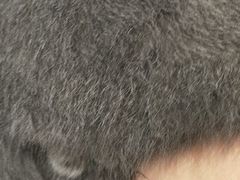 -藏猫猫咖啡主题馆(中央大道店)