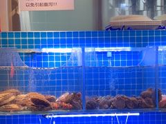 -街角等你.大连海鲜烧烤.经典铁板海鲜串(西安路店)