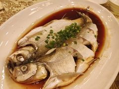-中国饭店-餐厅