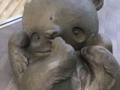 -凤凰中心