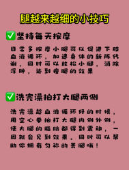 -Fundi张玉珊修身堂·indiba·BTL科技瘦身