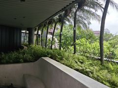 -香港大学