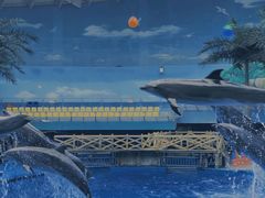 -海合安成都极地海洋公园