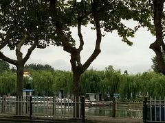 -莱西月湖公园