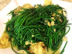 -敦煌达记酱驴肉黄面馆