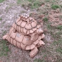 -齐汇维景大酒店游泳馆(山东政协大厦齐汇维景)