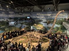 -自贡恐龙博物馆