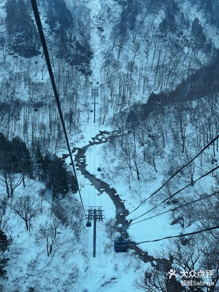 亚洲最长索道图片