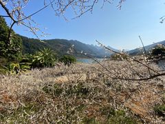 -广州市流溪河国家森林公园