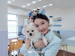 -汪说·狗咖·拼豆·宠物周边DIY(旺城大厦店)