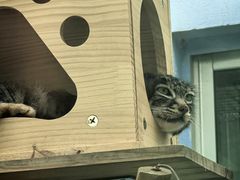 -青藏高原野生动物园