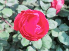 -人民公园(罗湖区)