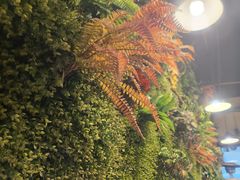 -味之绝热血美蛙鱼火锅(中坝店)