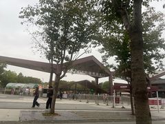 -武汉园博园(武汉自然博物馆)