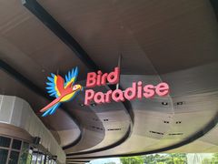 -新加坡飞禽公园