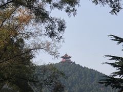 -济南南郊宾馆